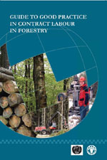 Guidelines for Estimating the Month and Year of Birth of Young Children