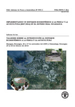 Informe de los Talleres sobre la introducci&oacute;n al enfoque ecosist&eacute;mico a la pesca y la acuicultura. Managua, Nicaragua, 26 y 27 de noviembre del 2009 y Chinandega, Nicaragua 24 al 26 de febrero del 2010.