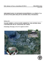 Informe del Taller sobre la evaluaci&oacute;n ambiental del estero real y estimaci&oacute;n de su capacidad de carga. Chinandega, Nicaragua, 25 al 27 de agosto del 2010.