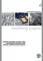 Mapping Influenza A (H5N1) virus transmission pathways and critical control points in Egypt