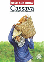 Save and grow: Cassava