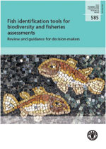 On-farm feeding and feed management in aquaculture