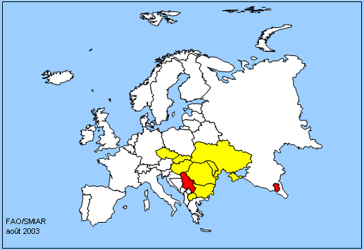 Europe Map