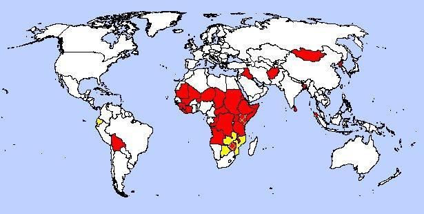 World Map