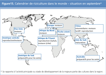 perspectives alimentaires