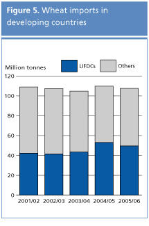 food outlook