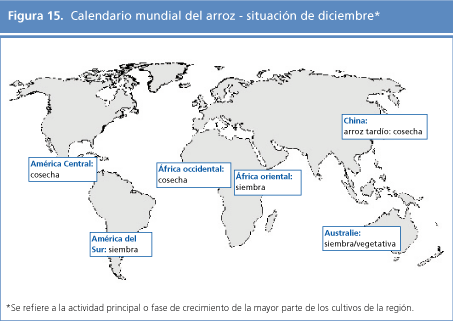 perspectivas alimentarias