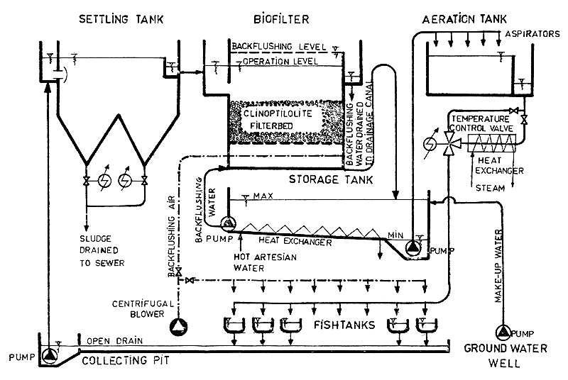 Fig.1