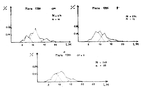 Figura. 1C