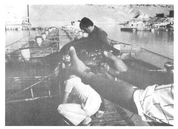 Fig.2a