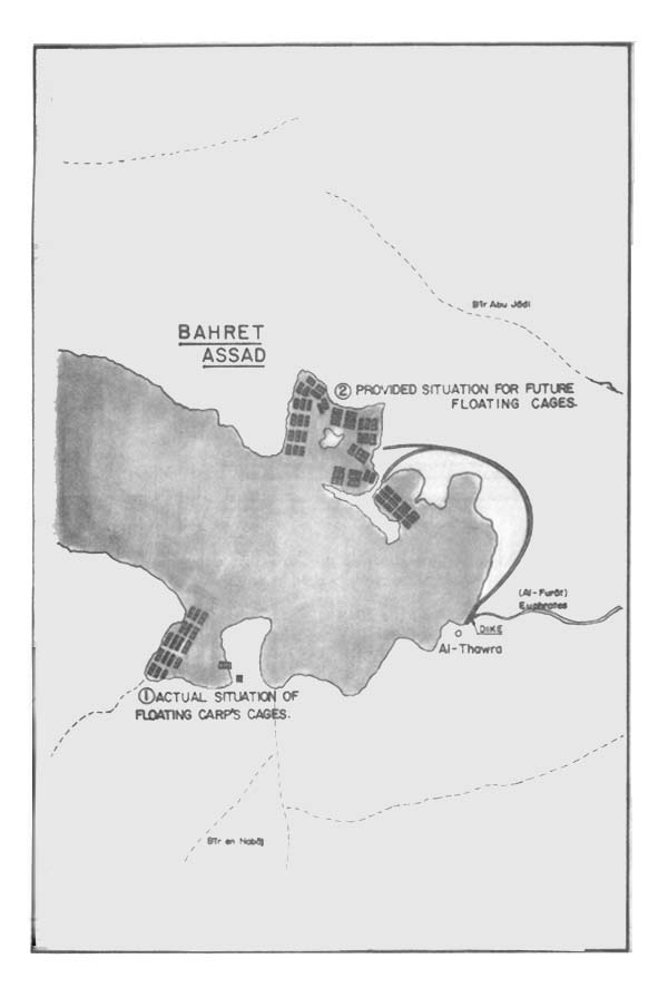 Fig.3