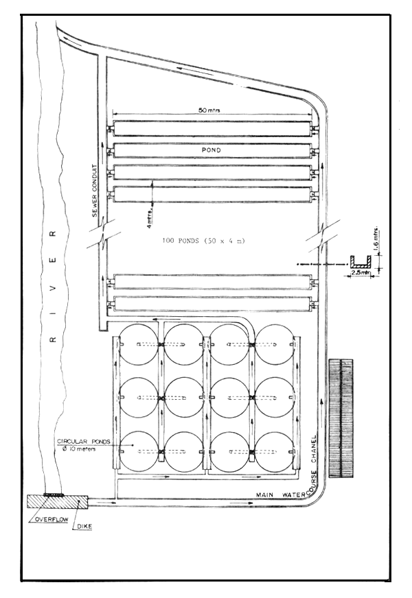 Fig.4