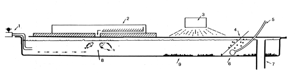 FIG. 5