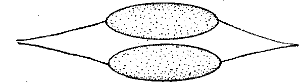 Fig. 12
