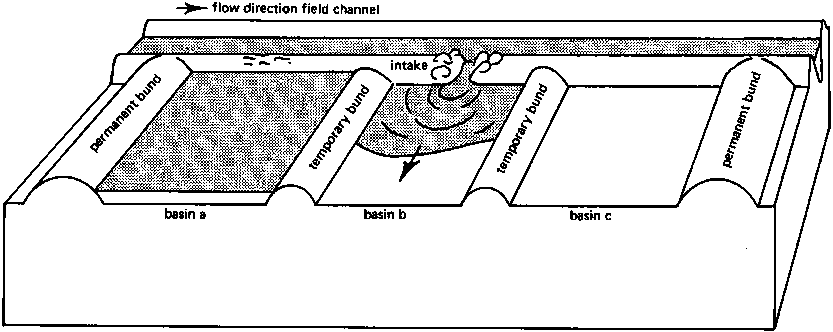 CHAPTER 2 BASIN IRRIGATION