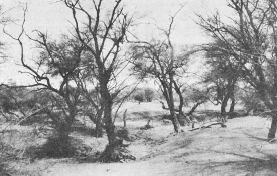 (Photo: C. Cossalter)