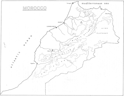 Small ruminants in the Near East