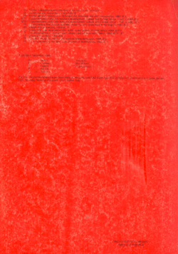 Small ruminants in the Near East