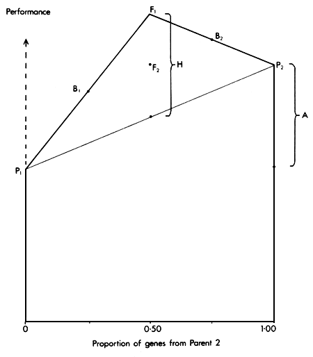 Figure 2.3