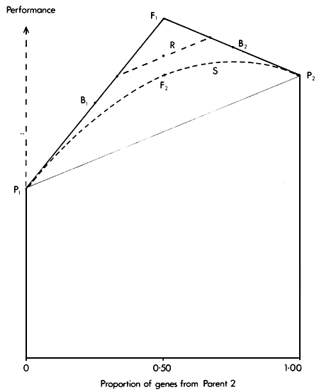 Figure 2.4