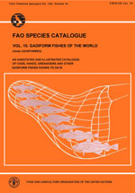 FAO species catalogue. Vol.10. Gadiform fishes of the world (Order Gadiformes). An annotated and illustrated catalogue of cods, hakes, grenadiers and other gadiform fishes known to date