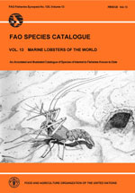 FAO species catalogue. Vol.13. Marine Lobsters of the World. An annotated and illustrated catalogue of marine lobsters known to date