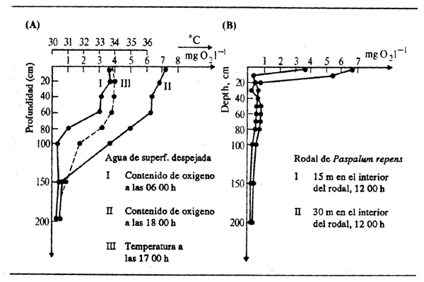 Figura 2.15