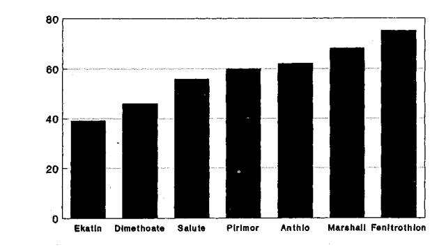 Exotic aphid pest of conifers