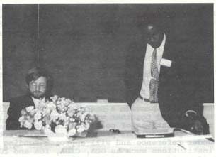 Exotic aphid pest of conifers