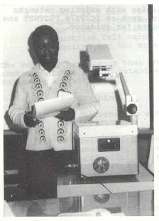 Exotic aphid pest of conifers