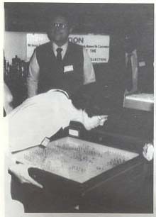 Exotic aphid pest of conifers