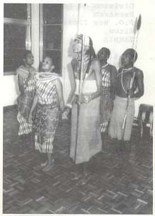 Exotic aphid pest of conifers