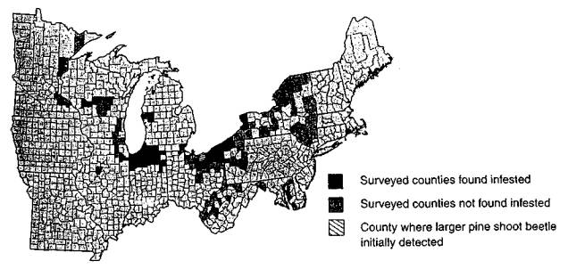 Leucaena Psyllid: a threat to agroforestry in Africa