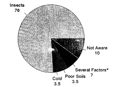 Leucaena Psyllid: a threat to agroforestry in Africa