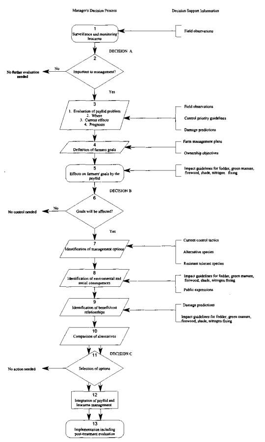 Leucaena Psyllid: a threat to agroforestry in Africa