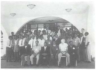 Leucaena Psyllid: a threat to agroforestry in Africa