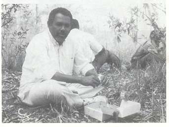 Leucaena Psyllid: a threat to agroforestry in Africa