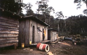 V6530e38.jpg (16537 bytes)