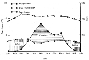 v8941f03.GIF (15390 bytes)