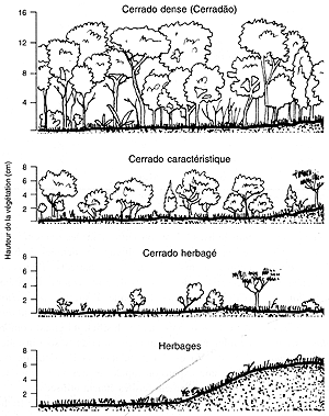 v8941f05.GIF (38071 bytes)