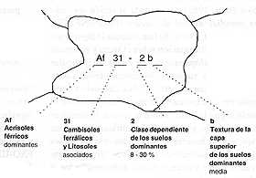 V8941s11.GIF (21692 bytes)