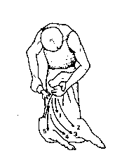 Figure 4.1 Merino shearing pattern
