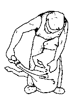 Figure 4.1 Merino shearing pattern