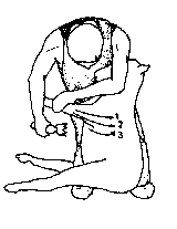 Figure 4.1 Merino shearing pattern