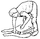 Figure 4.1 Merino shearing pattern