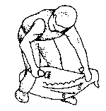 Figure 4.1 Merino shearing pattern
