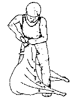 Figure 4.1 Merino shearing pattern