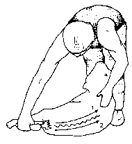 Figure 4.2 Machine shearing crossbred sheep