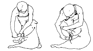 Figure 4.2 Machine shearing crossbred sheep