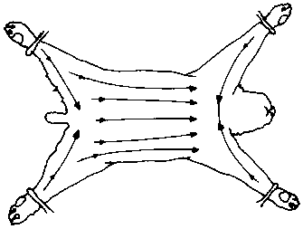Figure 4.3 Shearing angora rabbits